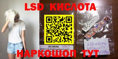 гидропоника Рязань
