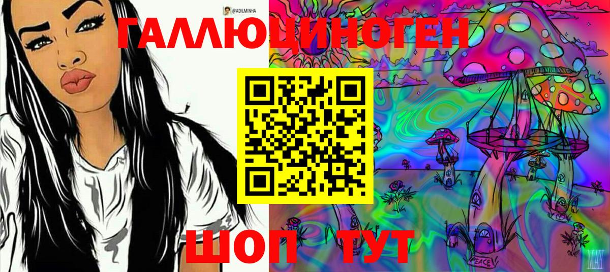 Прохладный  Псилоцибиновые грибы MAGIC MUSHROOMS  Вход с VPN  Галлюциногенные грибы Cubensis 